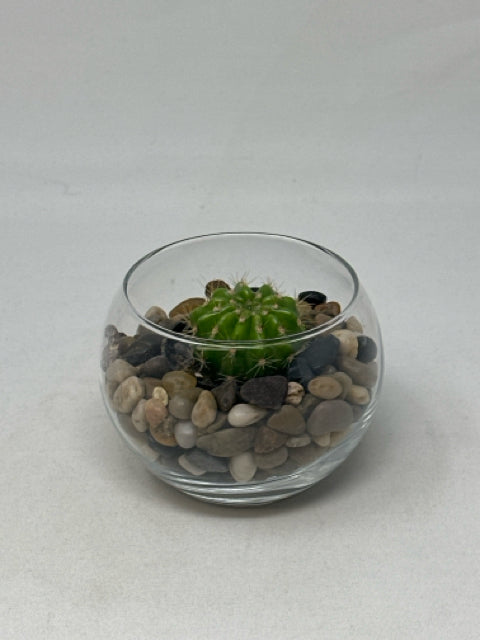 Round Glass Vase with Real Cactus Plant