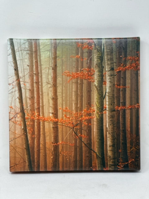 Canvas Autumn Forest Wall Art