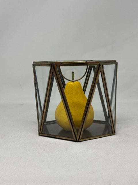 Renwil Accessory Brass/Glass Hexagon Terrarium  [MHF]