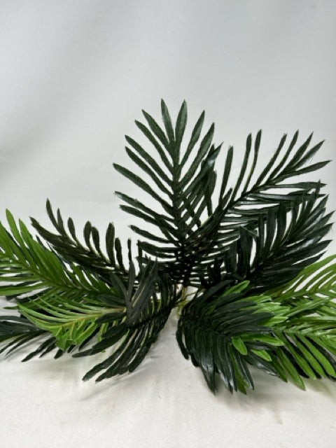 Green Fern Stem