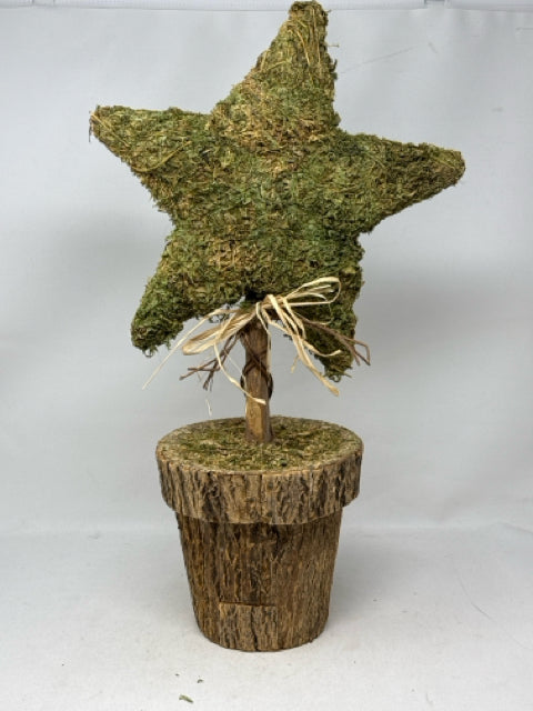 Moss Covered Star Topiary Decoration