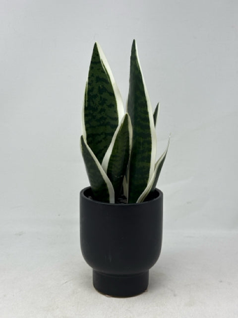 Artificial Plant in Round Black Pot