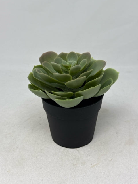 5" Ikea Fejka Artificial Succulent