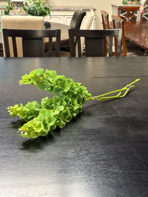 3 Green Leaf Stems