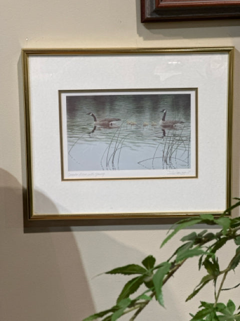 Framed "Canada Geese with Young" by Don Li-Leger