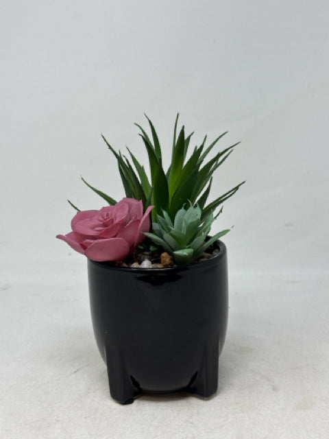 Artificial Succulents in Glossy Black Pot