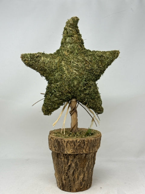 Moss Covered Star Topiary Decoration