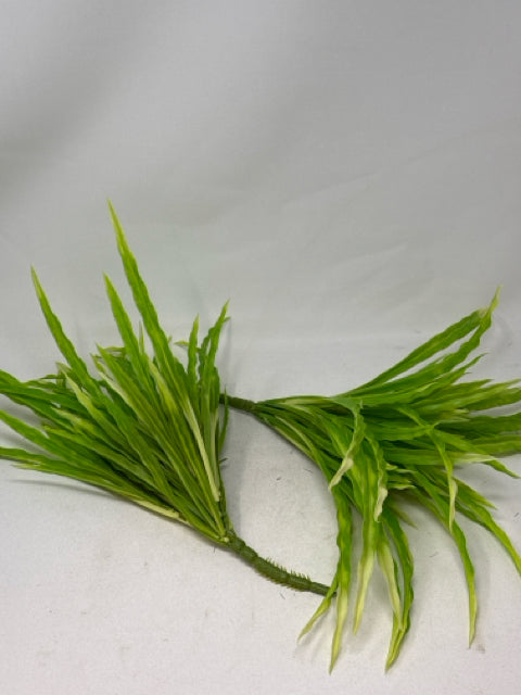 Pair of Green Grass Stems