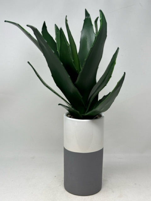 Artificial Cactus in Round White/Grey Ceramic Pot [MHF]