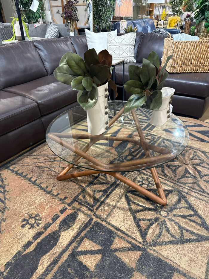 Glass & Wood Coffee Table