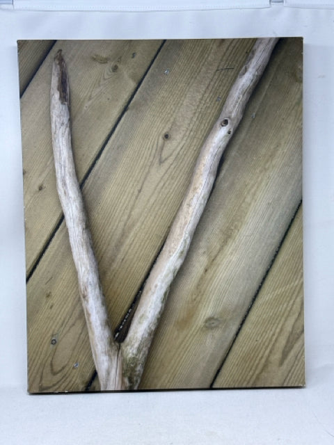 Nature Photography Canvas Wall Art