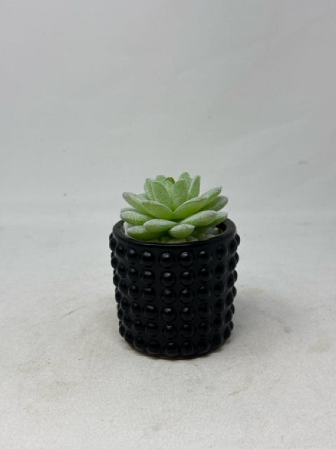 Mini Artificial Succulent in Round Black Pot