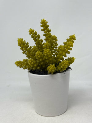 10" Artificial Plant in White Pot [MHF]