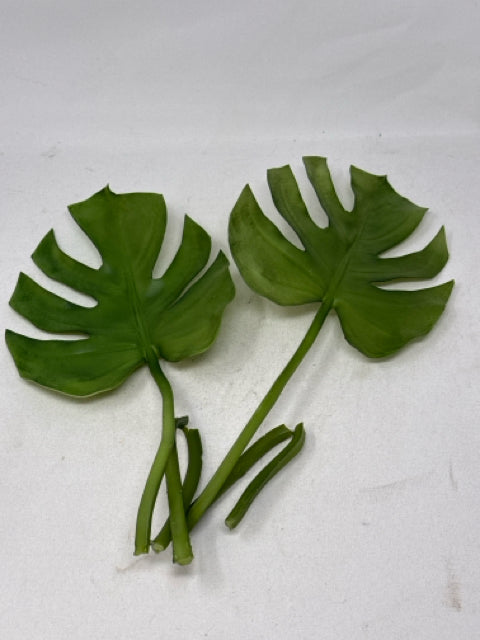 Pair of Artificial Monstera Branches [MHF]