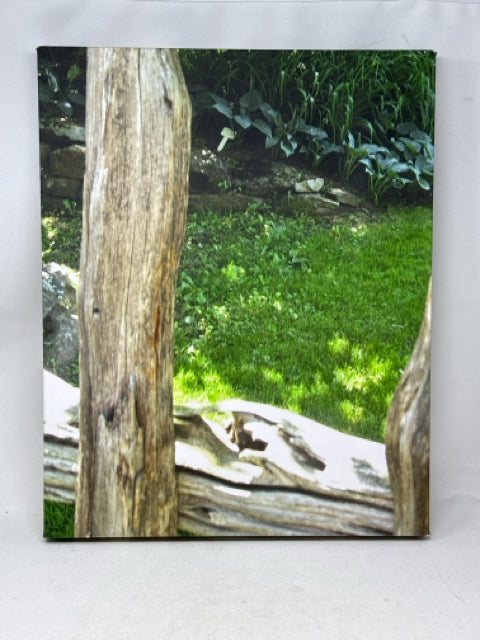 Nature Photography Canvas Wall Art