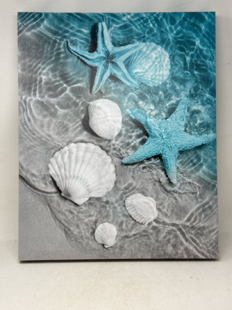 Blue/White Starfish/Shell Canvas Wall Art