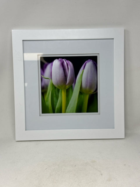 White Framed Purple Tulip Wall Art