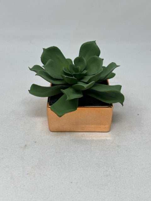 CB2 Succulent in Copper Pot [MHF]