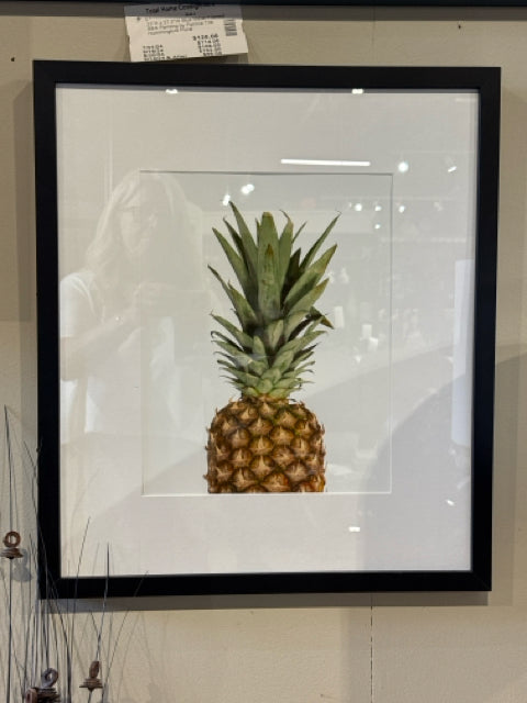 Black Framed Koyman Galleries Pineapple Wall Art [MHF]