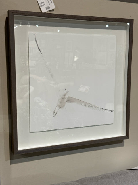 Square Grey Wood Framed "Soar I" Wall Art [MHF]