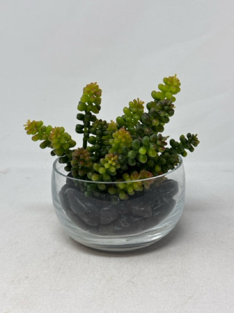 Round Glass with Black Stones & Artificial Plant [MHF]