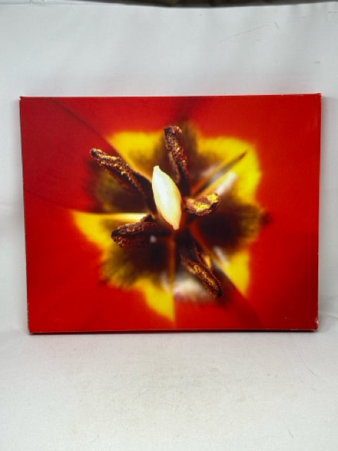 Nature Photography Canvas Wall Art