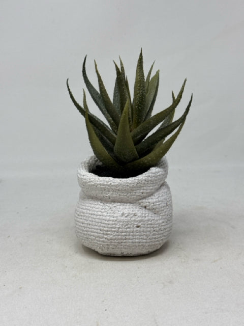 CB2 Potted Succulent [MHF]