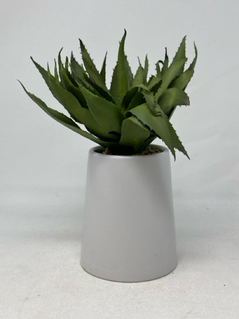 CB2 Potted Aloe Plant [MHF]