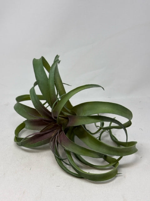 Green Succulent Plant Stem