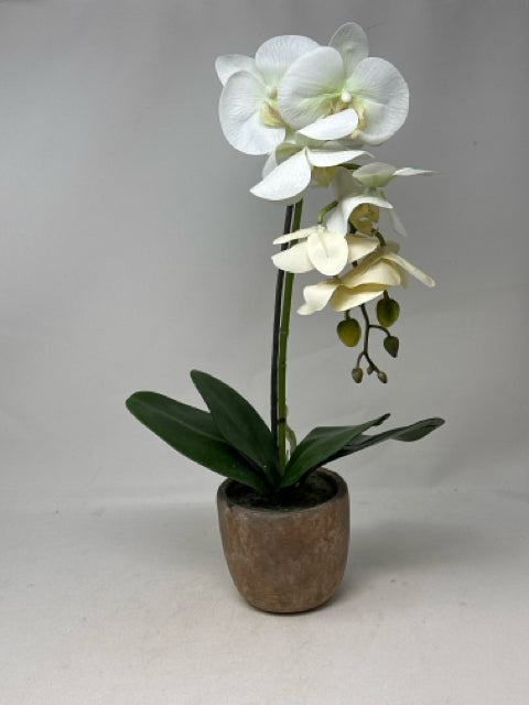 Artificail White Orchid in Terracotta Pot