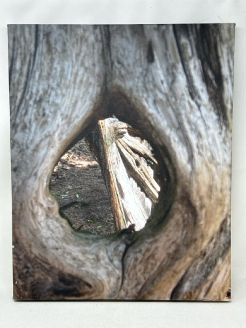 Nature Photography Canvas Wall Art