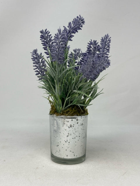 Lavender Plant in Mercury Glass Vase