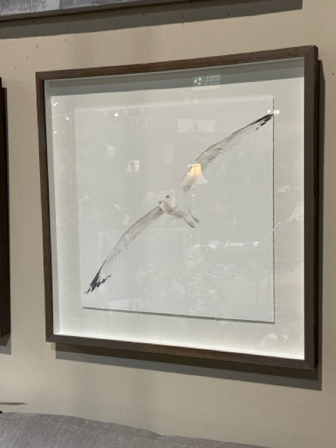 Square Grey Wood Framed "Soar II" Wall Art [MHF]