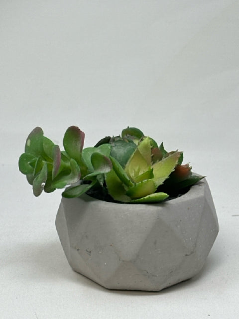 Artificial Succulents in Cement Pot