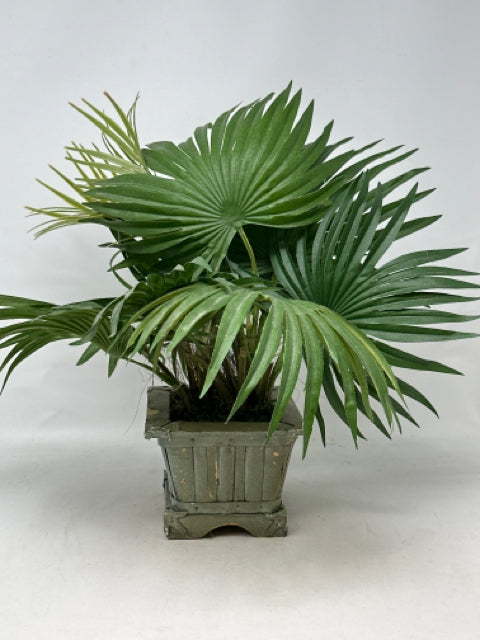 Small Palm in Wooden Square Pot