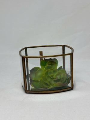 Ren Wil Square Glass with Gold Metal Trim Terrarium [MHF]