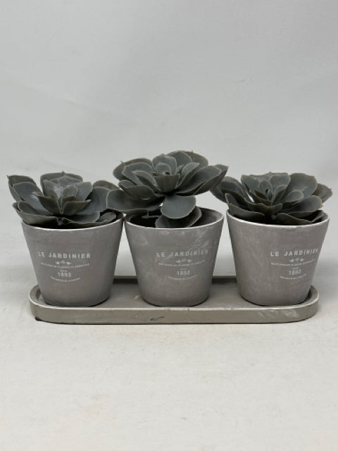 Torre & Tagus Set of 3 Grey Clay Le Jardinier Plant Pots with Tray [MHF]